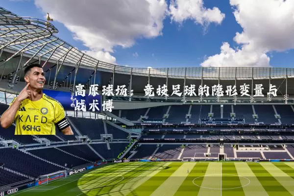 高原球场：竞技足球的隐形变量与战术博弈