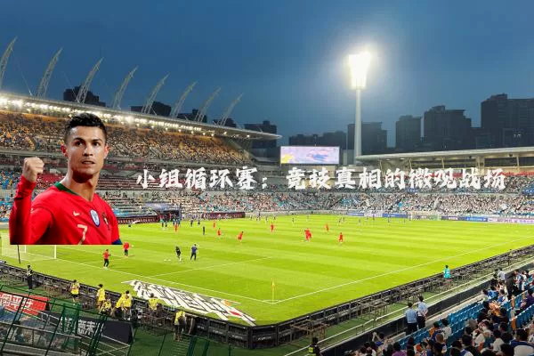 小组循环赛:竞技真相的微观战场